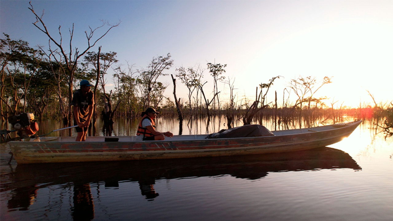 Xingu à margem Movie Screenshot 1